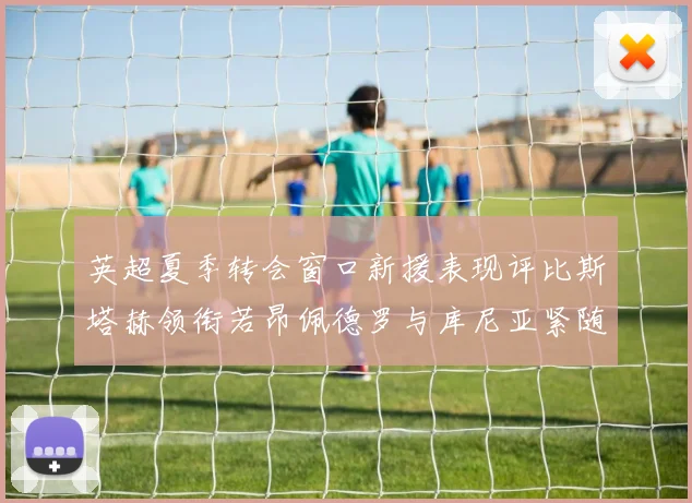 英超夏季转会窗口新援表现评比斯塔赫领衔若昂佩德罗与库尼亚紧随其后