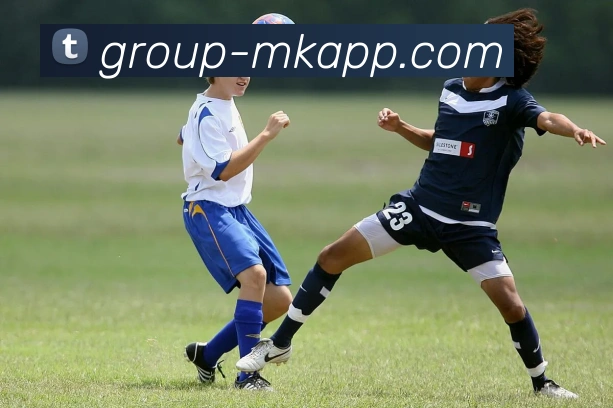 MK体育APP 封面图